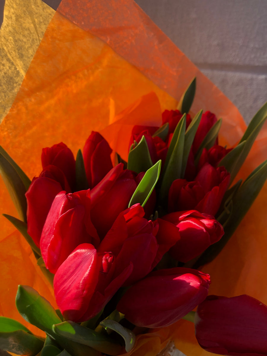 Red Tulips Austin Flower Company