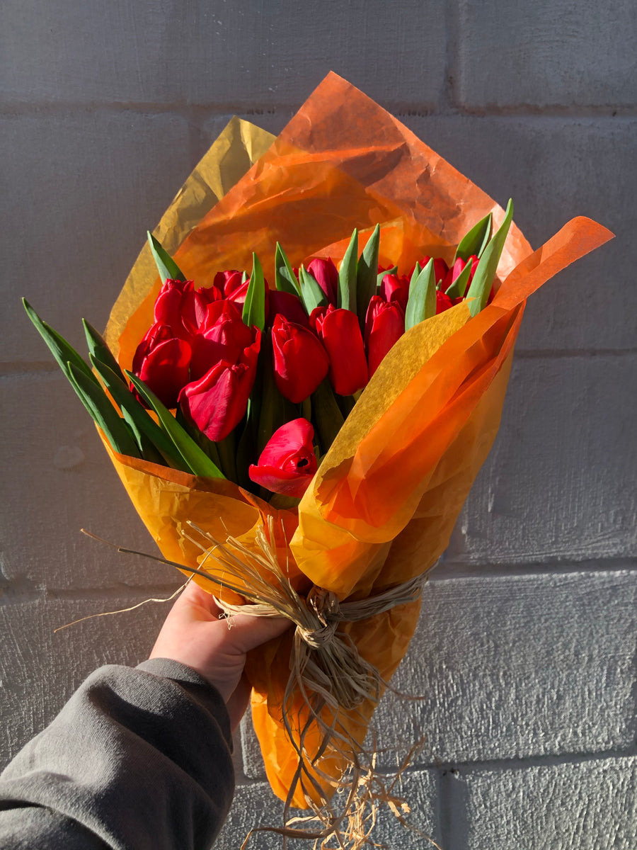 Red Tulips Austin Flower Company