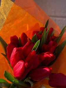 Red Tulips