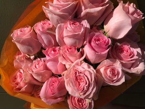 Pink Roses